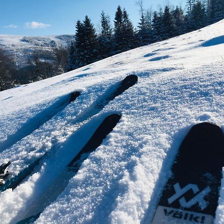 Widokowy Apartament Jodlowa Ski&Bike Szczyrk Exteriér fotografie